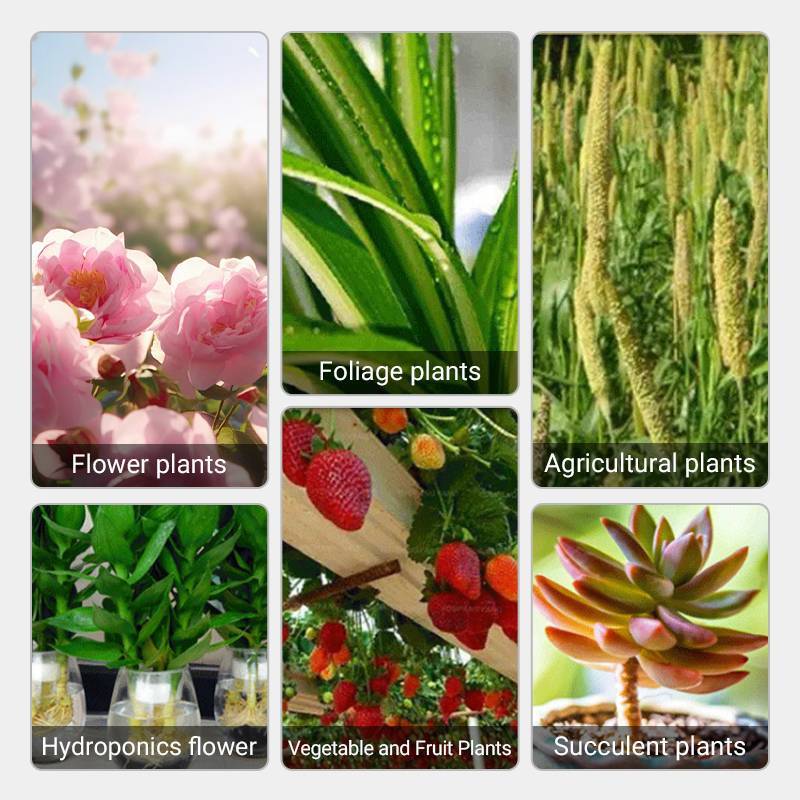 1+1 Free | Plant Nutrient Solution